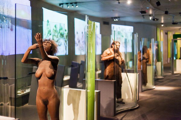 Günter Zamp Kelp, Julius Krauss, Arno Brandlhuber, Neanderthal Museum, Mettmann, North-Rhine-Westphalia, Germany