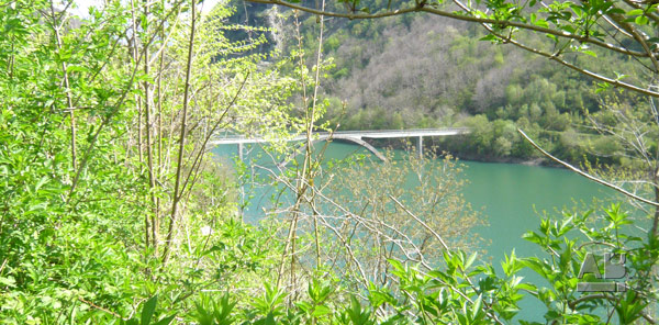 Riccardo Morandi, Passerella Vagli Sotto Bridge