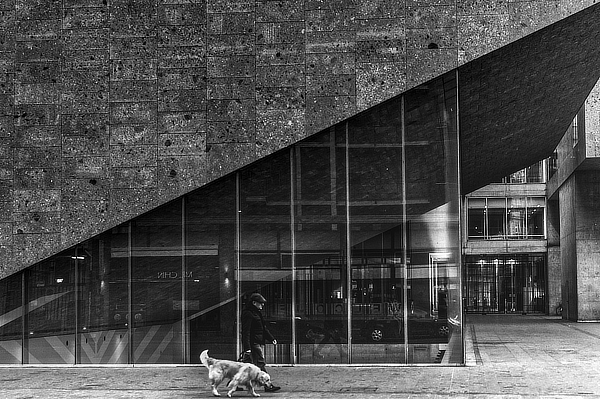 Università Luigi Bocconi, Grafton Architects, Yvonne Farrell, Shelley McNamara, Milano, Italy, University