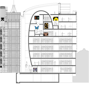 C.F. Moller Darwin Centre London