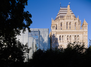 C.F. Moller Darwin Centre London