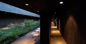 Peter Zumthor Serpentine Gallery Pavilion London