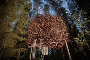 Inredingsgruppen Bertil Harstrom Treehotel The Bird's Nest