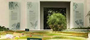 Orto Botanico di Padova Giardino della Biodiversità VS associati Giorgio Strappazzon