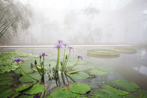 Orto Botanico di Padova Giardino della Biodiversità VS associati Giorgio Strappazzon