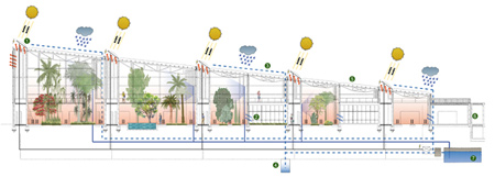 Orto Botanico di Padova Giardino della Biodiversità VS associati Giorgio Strappazzon