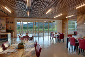 MH Architects, Matt Hollis, Titus Vineyards, St. Helena, Napa Valley, California, SDG Structural Design Group