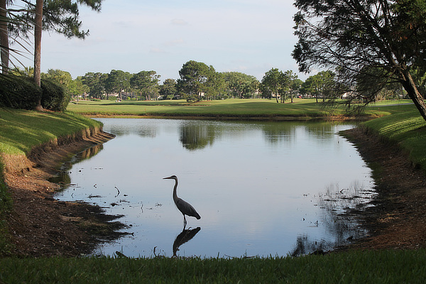 PGA TOUR Global Home, Foster + Partners, Norman Foster, Nigel Dancey, Ponte Vedra Beach, Florida