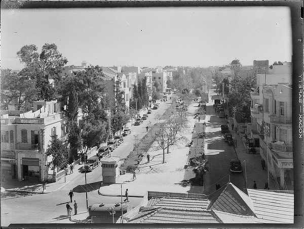 Tel Aviv, Israel, Jaffa, Patrick Geddes, masterplan