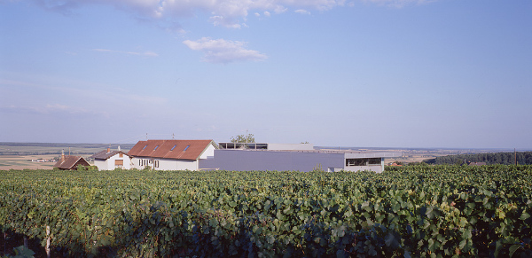 Pichler & Traupmann Architekten, Weingut Krutzler, Winery, Deutsch Schützen-Eisenberg, Bürgenland, Austria, Harald Weiß