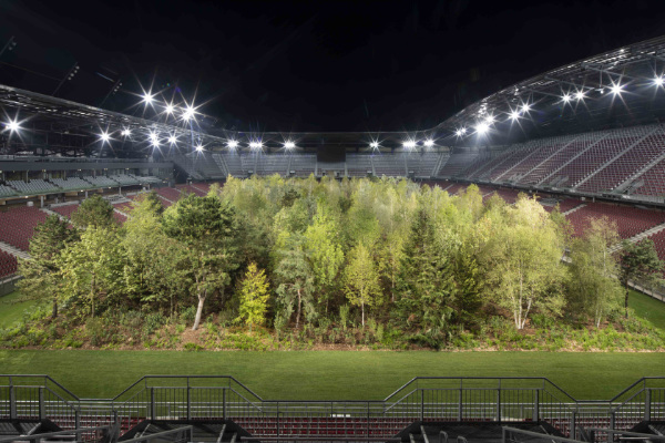 Klaus Littmann, For Forest, The Unending Attraction of Nature, Enzo Enea, Max Peintner, Klagenfurt, Austria