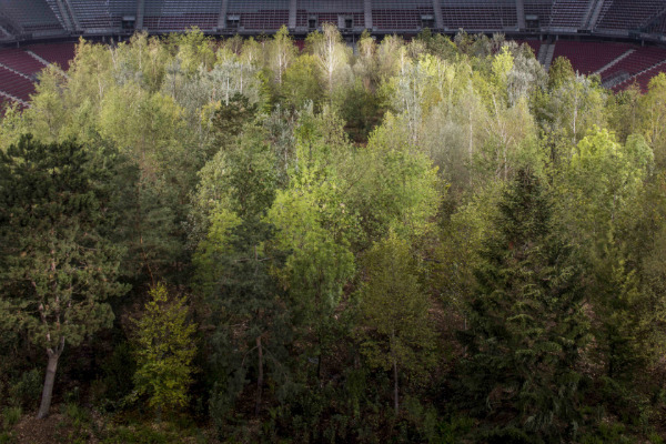 Klaus Littmann, For Forest, The Unending Attraction of Nature, Enzo Enea, Max Peintner, Klagenfurt, Austria