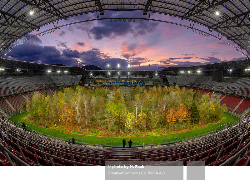 Klaus Littmann, For Forest, The Unending Attraction of Nature, Enzo Enea, Max Peintner, Klagenfurt, Austria