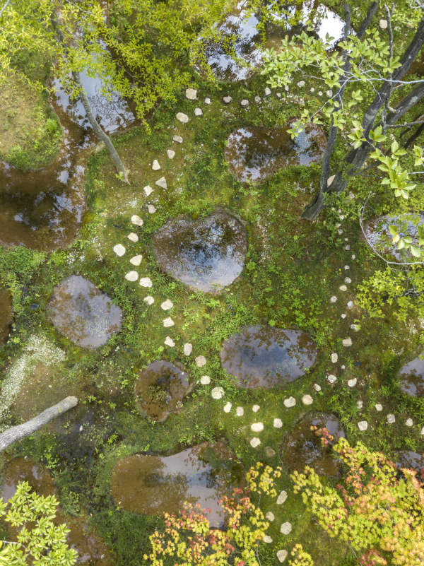 junya.ishigami+associates, Water Garden, Botanical Farm Garden, Art Biotop, Nasu, Tochigi, Japan