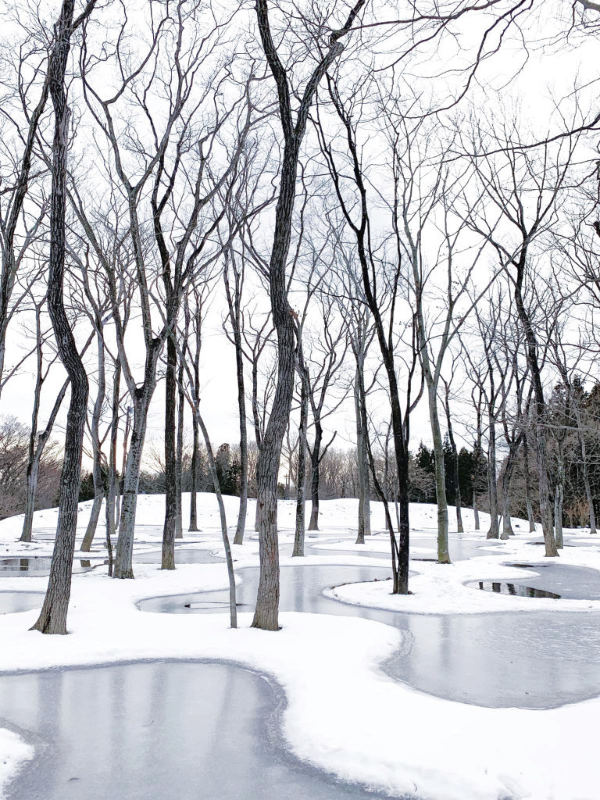 junya.ishigami+associates, Water Garden, Botanical Farm Garden, Art Biotop, Nasu, Tochigi, Japan