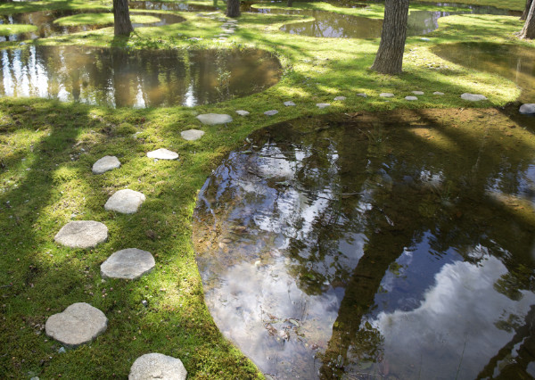 junya.ishigami+associates, Water Garden, Botanical Farm Garden, Art Biotop, Nasu, Tochigi, Japan