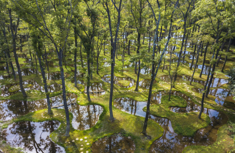 junya.ishigami+associates, Water Garden, Botanical Farm Garden, Art Biotop, Nasu, Tochigi, Japan