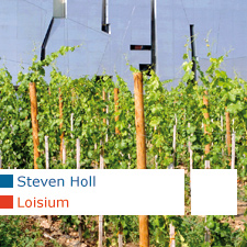 Steven Holl, Loisium, Langenlois, Austria